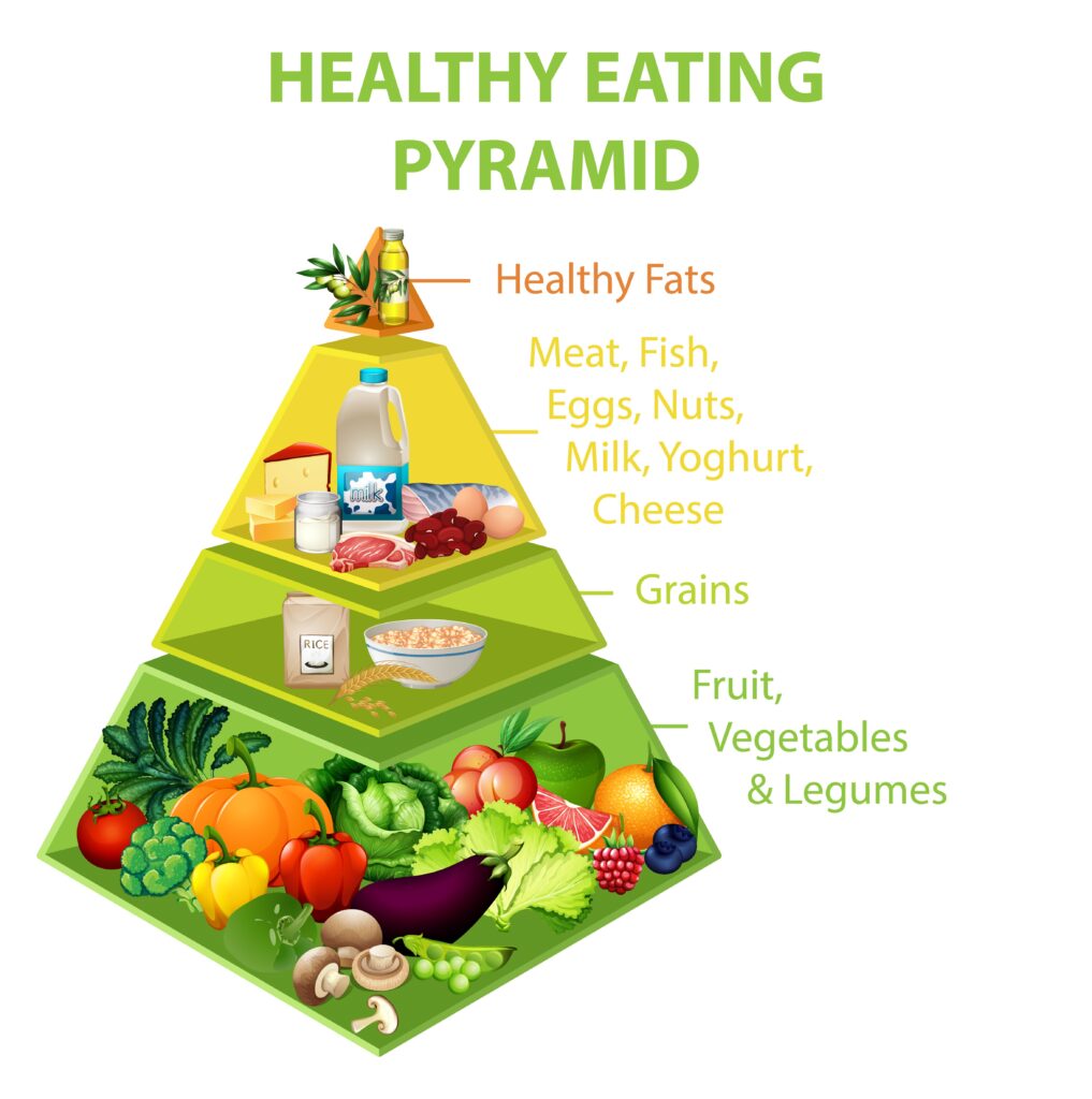 food pyramid 2023